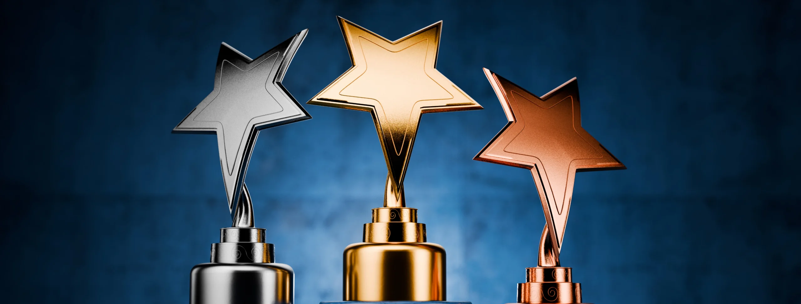Winner categories